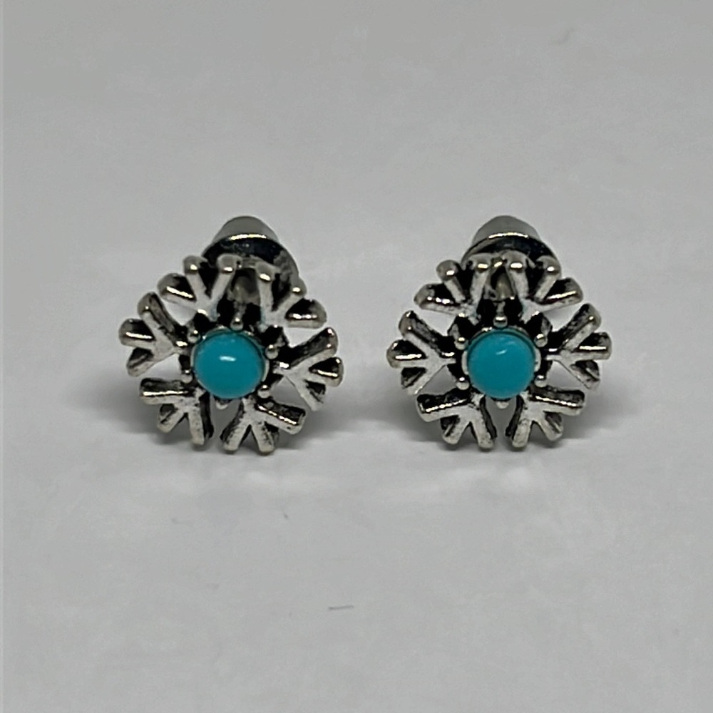 Earrings southwesternโ boho turquoise